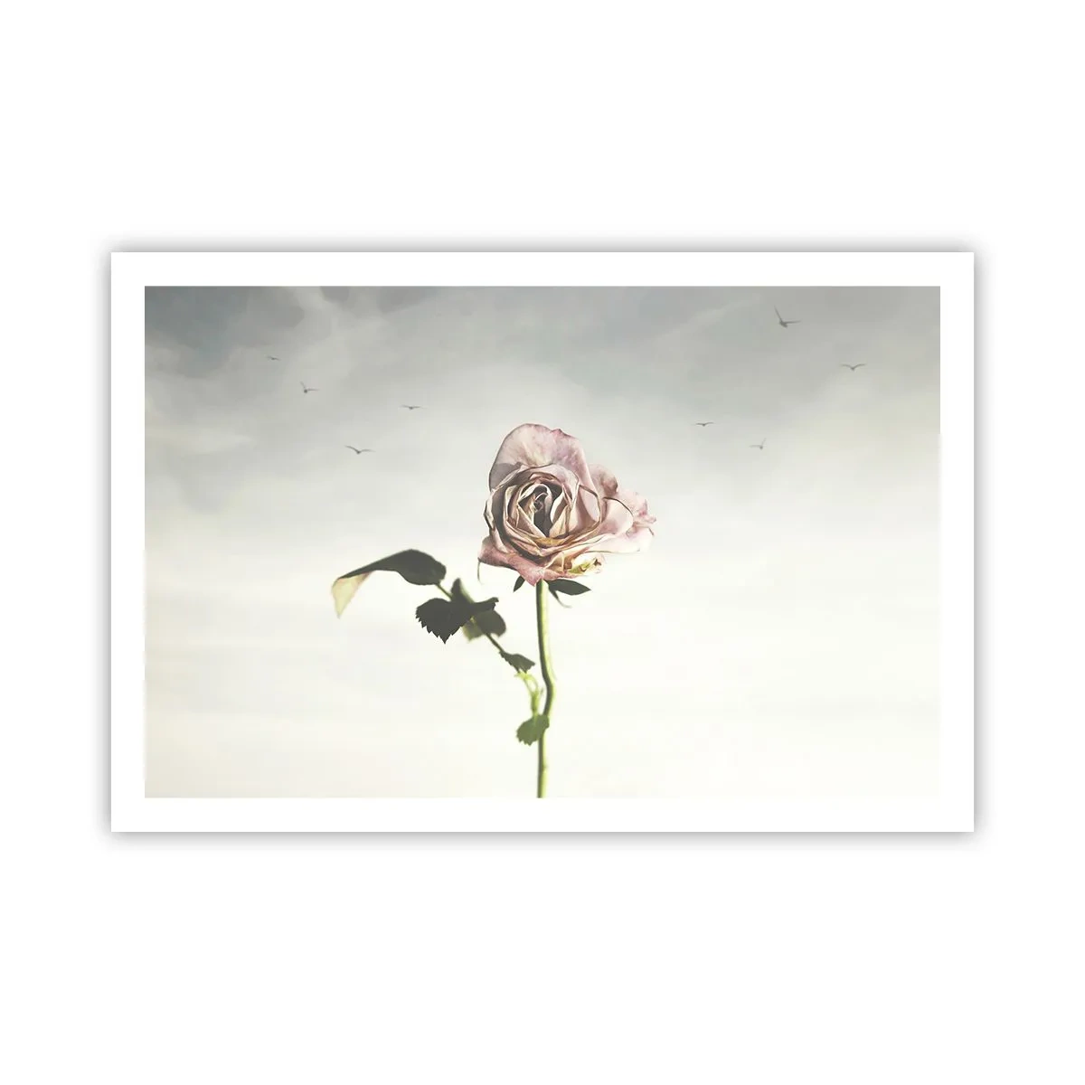 Affiche - Poster - Bonjour de printemps - 91x61 cm