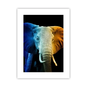 Affiche - Poster - Excentrique, pas bizarre - 30x40 cm