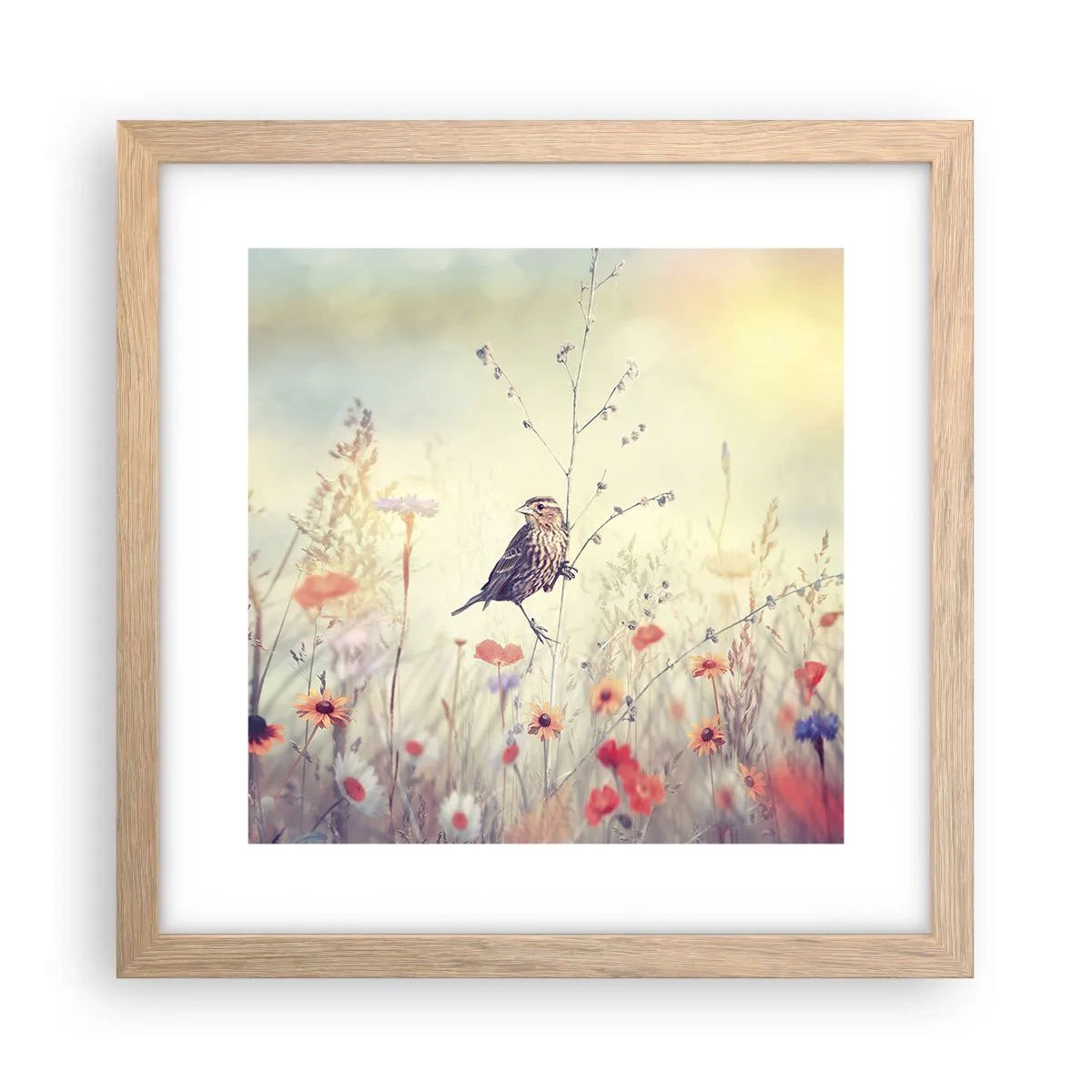 Affiche dans un chêne clair - Poster - Portrait d'oiseau sur pré en fond - 30x30 cm