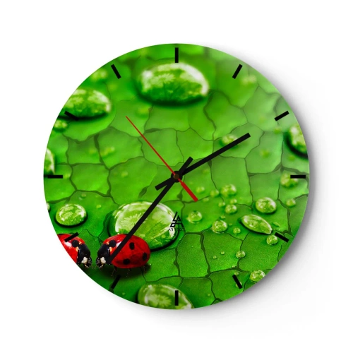 Horloge murale - Pendule murale - Coccinelles sur une feuille avec des gouttes d'eau - 30x30cm - Rendez-vous au vert - Décoration murale moderne pour le salon, la cuisine et la chambre ARTTOR