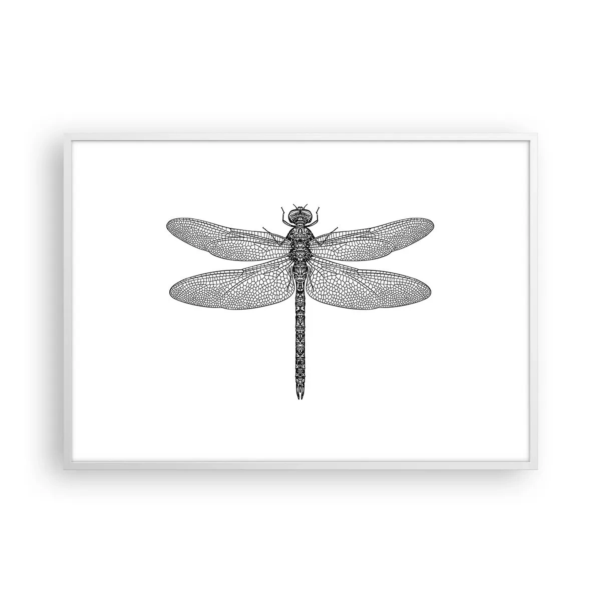 Affiche dans un cadre blanc - Poster - Précision de la nature - 100x70 cm