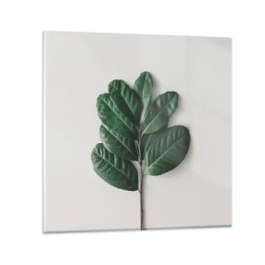 Impression sur verre - Image sur verre - Dessin de la nature elle-même - 50x50 cm