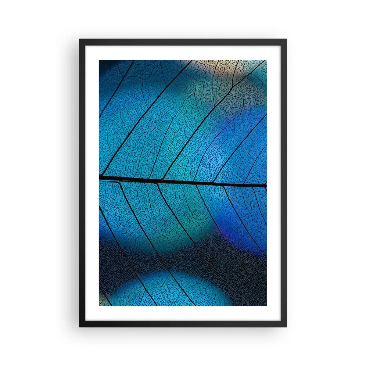 Affiche dans un cadre noir - Poster - Gros plan d'une feuille bleue avec des nervures proéminentes - 50x70cm - Construction complexe - Décoration murale moderne pour le salon et la chambre ARTTOR