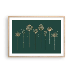 Affiche dans un chêne clair - Poster - La famille Plante - 70x50 cm