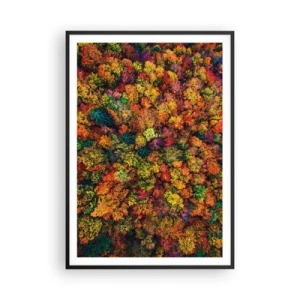 Affiche dans un cadre noir - Poster - Bouquet d'arbres automnal - 70x100 cm