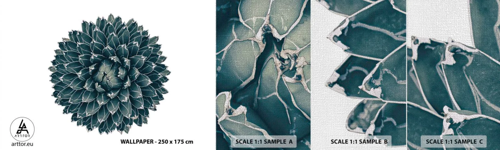 Échantillon de Papier Peint Premium Canvas - Étoile du désert - Cactus, Agave, Graphique - 100x30 cm