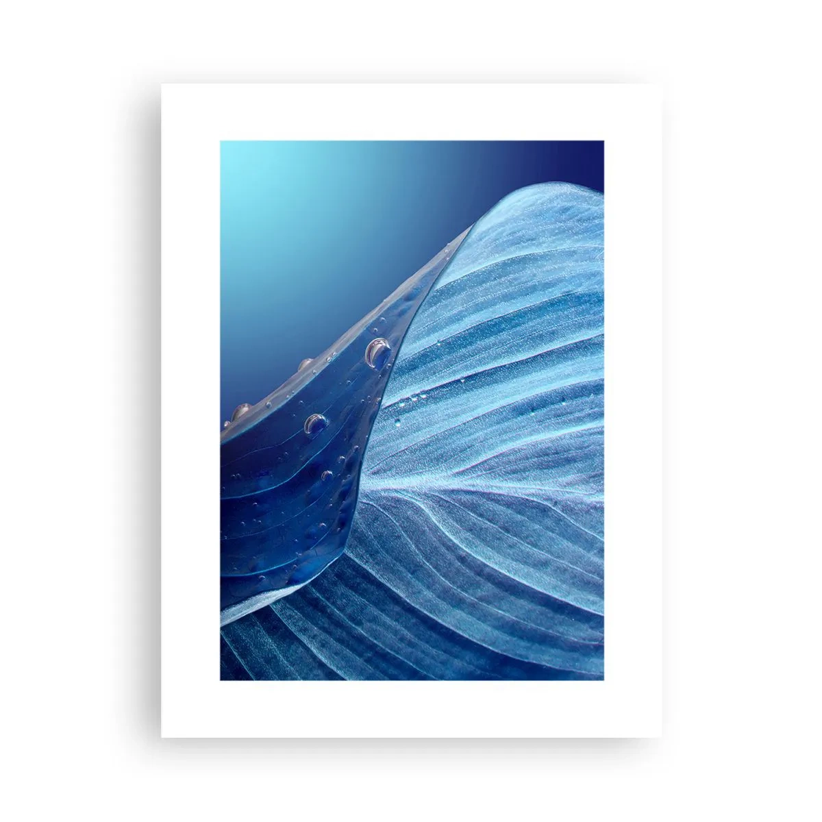 Affiche - Poster - Gouttes cachées du bleu - 30x40 cm