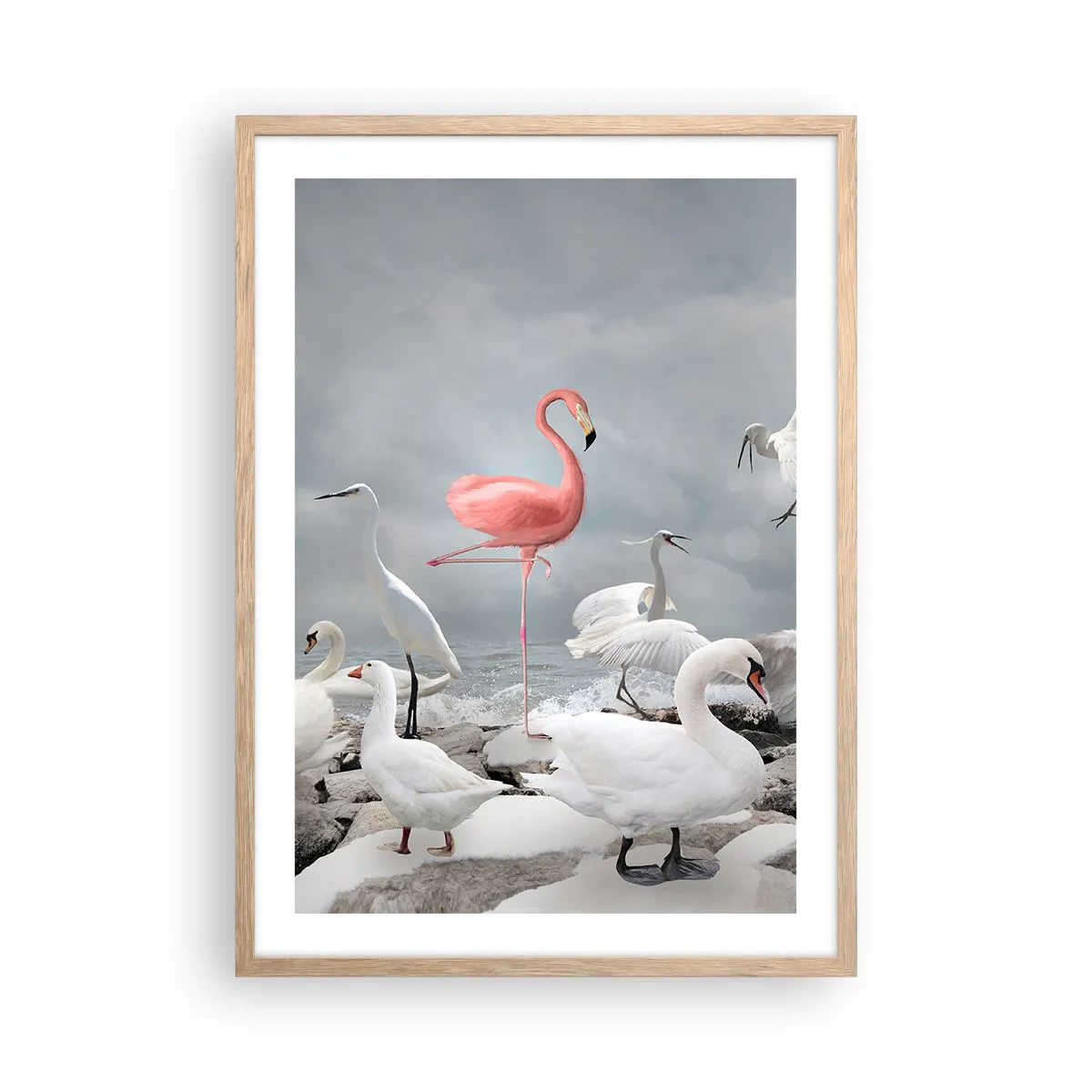 Affiche dans un chêne clair - Poster - Comment suis-je arrivé là? - 50x70 cm