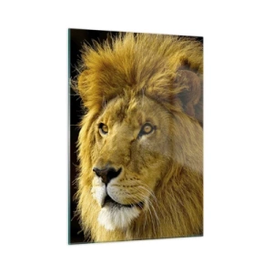 Impression sur verre - Image sur verre - Portrait d'un lion majestueux sur fond sombre - 50x70cm - Portrait de roi - Décoration murale moderne pour le salon et la chambre ARTTOR