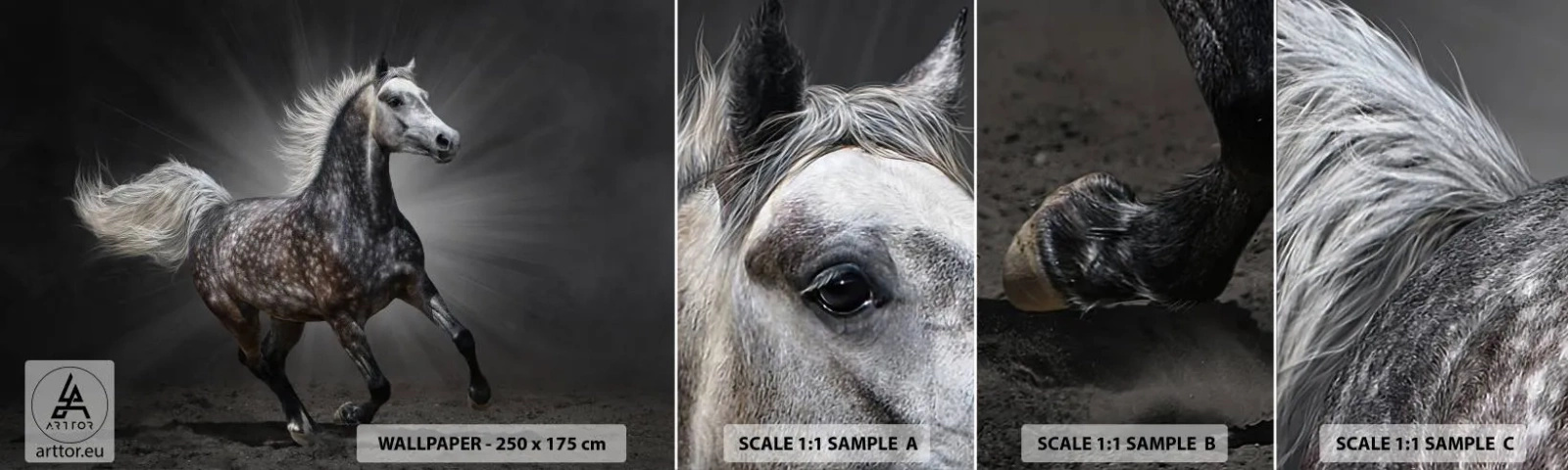 Échantillon De Papier Peint Standard Eco - Le gris est beau - Animaux, cheval arabe, Nature - 100x30 cm
