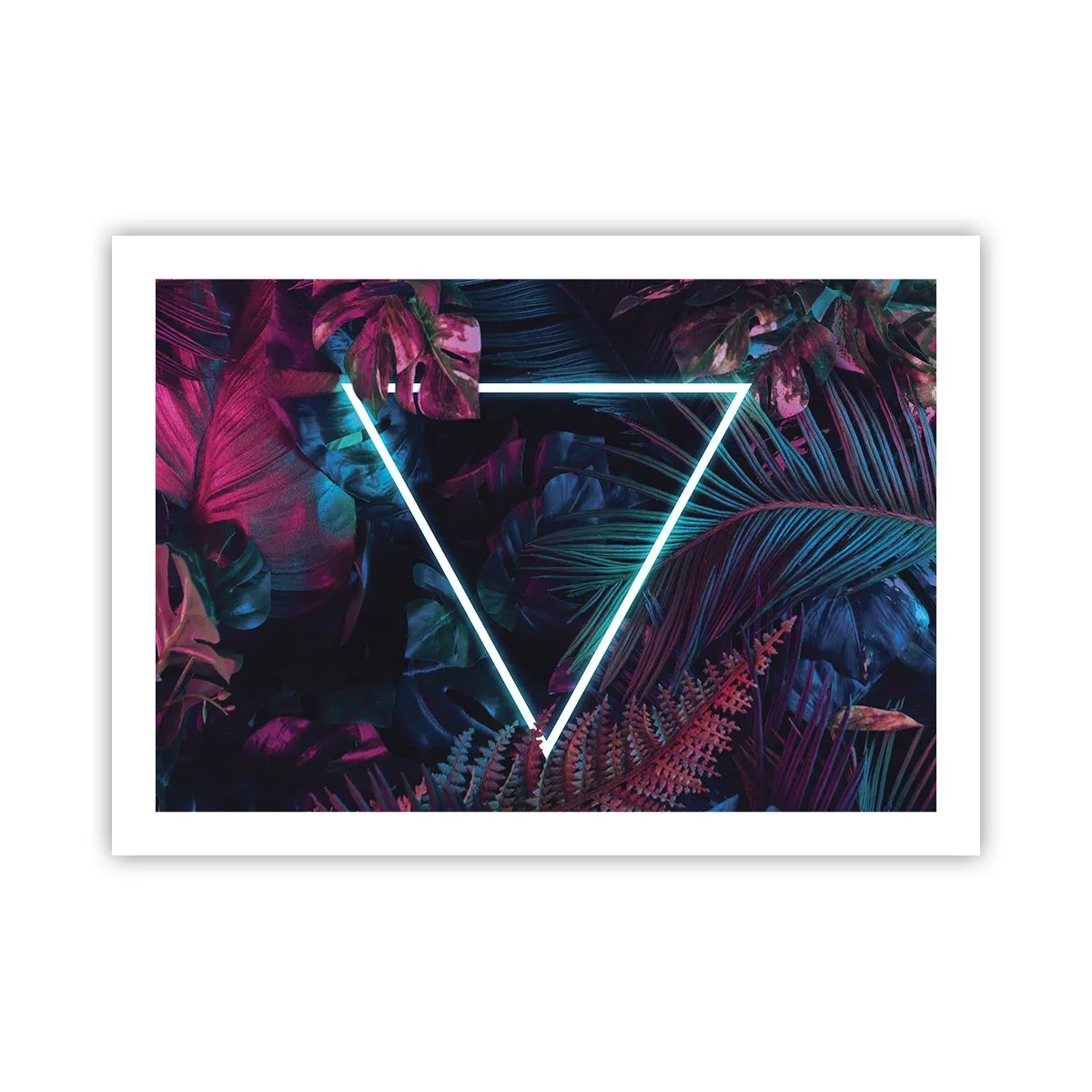 Affiche - Poster - Jardin de style disco - 70x50 cm