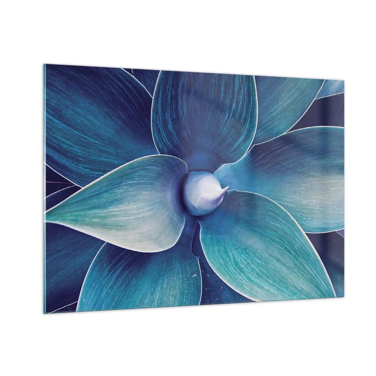 Impression sur verre - Image sur verre - Macrophotographie d'une plante dans des tons de bleu - 100x70cm - Le bleu du ciel - Décoration murale moderne pour le salon et la chambre ARTTOR