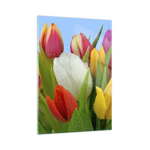 Impression sur verre - Image sur verre - Tulipes colorées couvertes de gouttes de rosée sur un fond bleu - 50x70cm - Un arc-en-ciel fleuri en gouttes de rosée - Décoration murale moderne pour le salon et la chambre ARTTOR