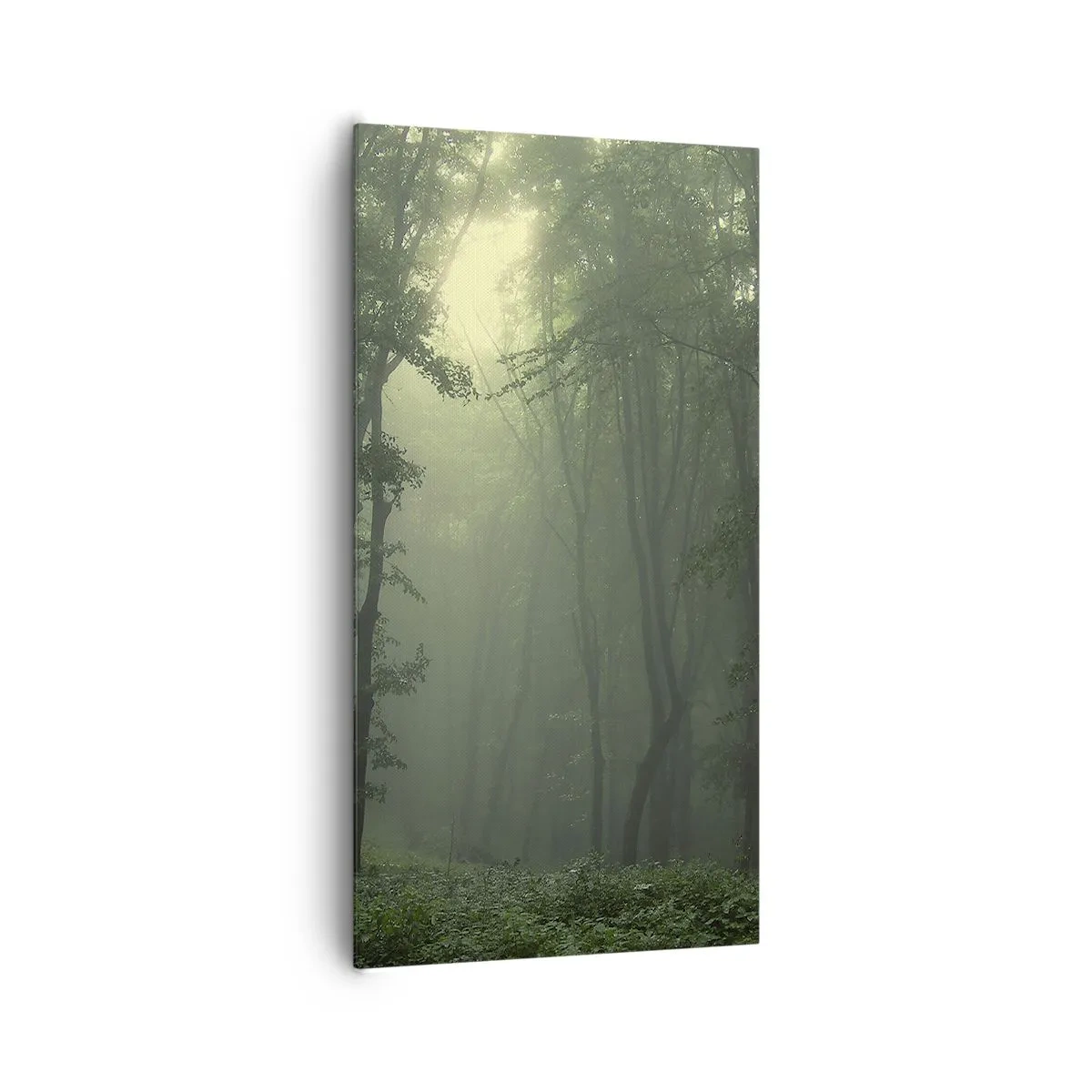 Impression sur toile - Image sur toile - Avant qu'il ne se réveille - 65x120 cm
