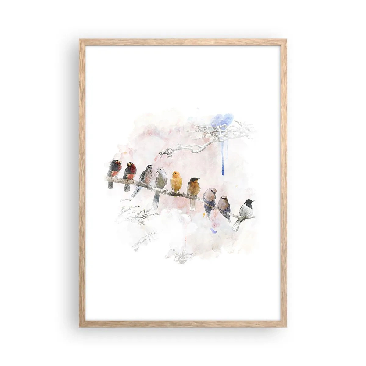 Affiche dans un chêne clair - Poster - Rencontre ailée - 50x70 cm