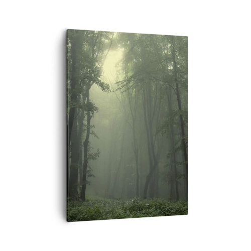 Impression sur toile - Image sur toile - Une forêt verte le matin enveloppée d'un brouillard délicat - 50x70cm - Avant qu'il ne se réveille - Décoration murale moderne pour le salon et la chambre ARTTOR