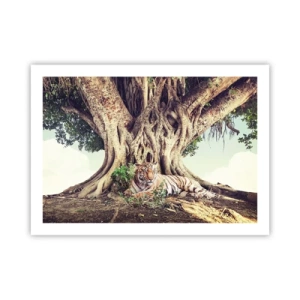 Affiche - Poster - Vue du Livre de la Genèse - 70x50 cm