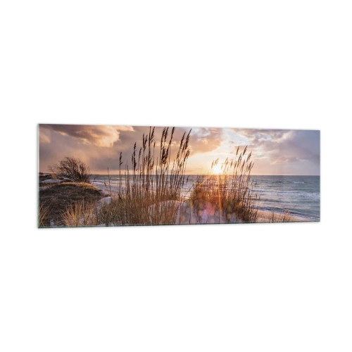 Impression sur verre - Image sur verre - Dunes avec des herbes sur fond de soleil couchant - 160x50cm - Salutations du soleil et du vent - Décoration murale moderne pour le salon et la chambre ARTTOR