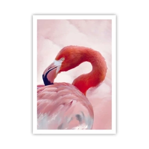 Affiche - Poster - Beauté des oiseaux - 70x100 cm