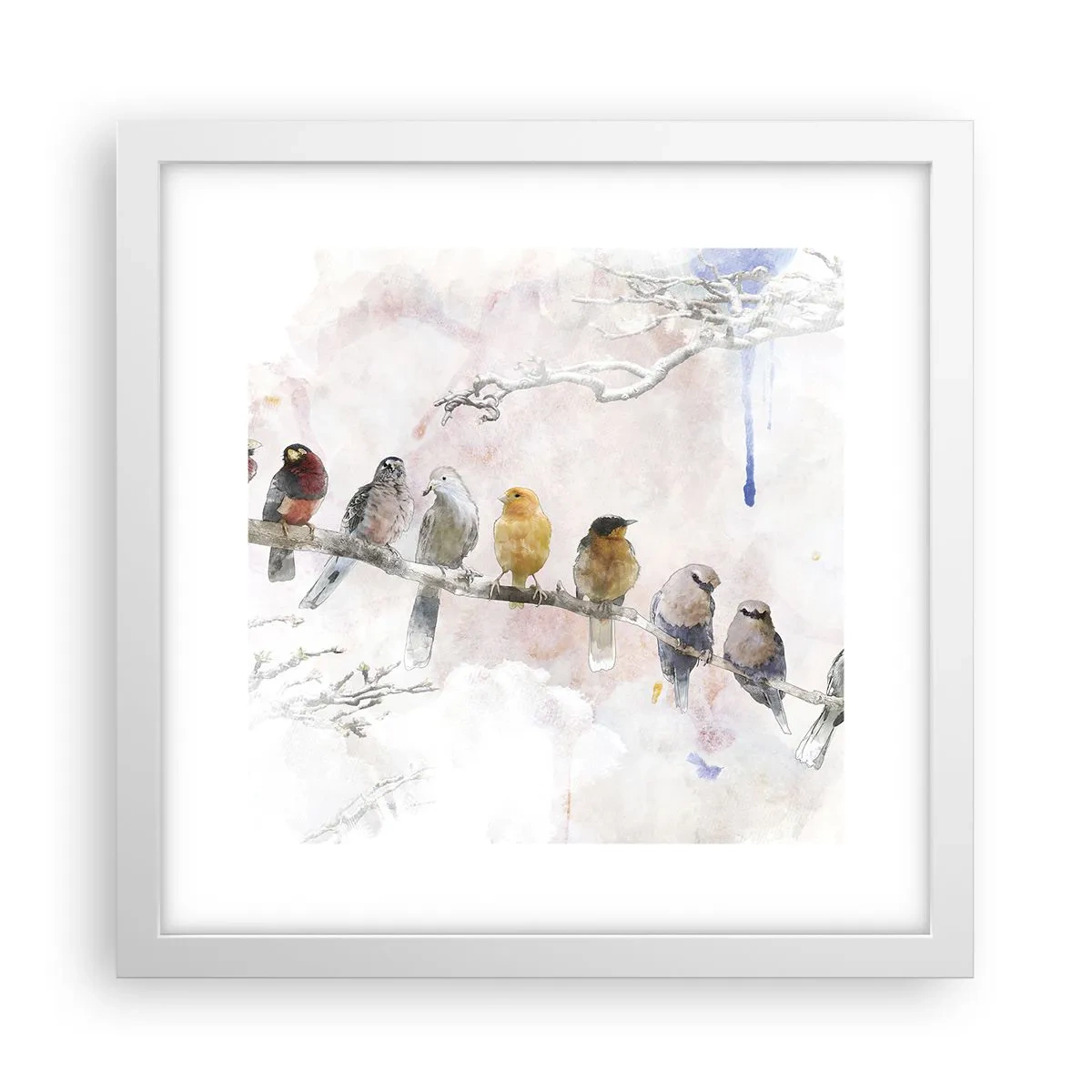 Affiche dans un cadre blanc - Poster - Rencontre ailée - 30x30 cm