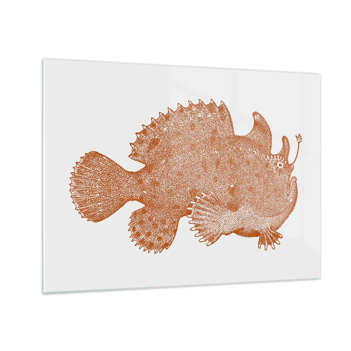 Impression sur verre - Image sur verre - Et pourtant un poisson - 70x50 cm