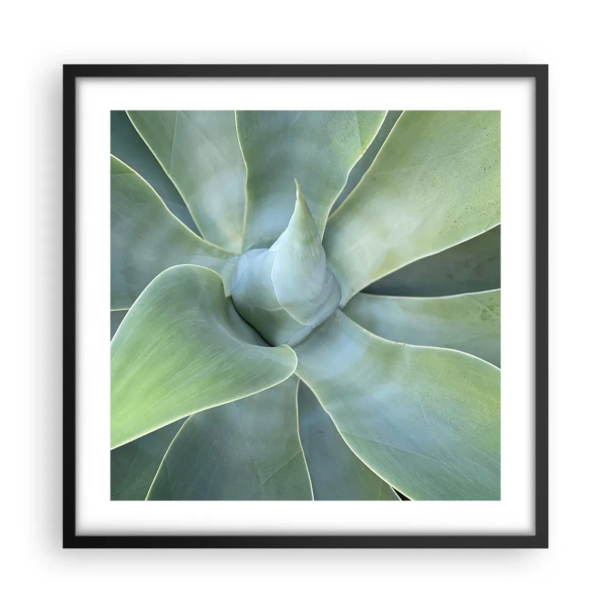 Affiche dans un cadre noir - Poster - La naissance de la verdure - 50x50 cm