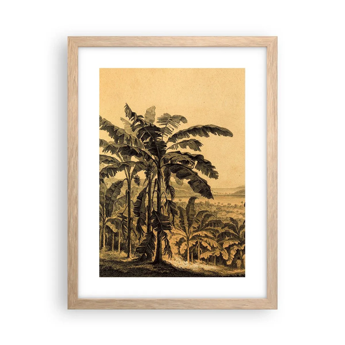 Affiche dans un chêne clair - Poster - Dans un climat colonial - 30x40 cm