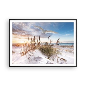 Affiche dans un cadre noir - Poster - Plage avec des mouettes volant au coucher du soleil - 100x70cm - Vent de mer - Décoration murale moderne pour le salon et la chambre ARTTOR