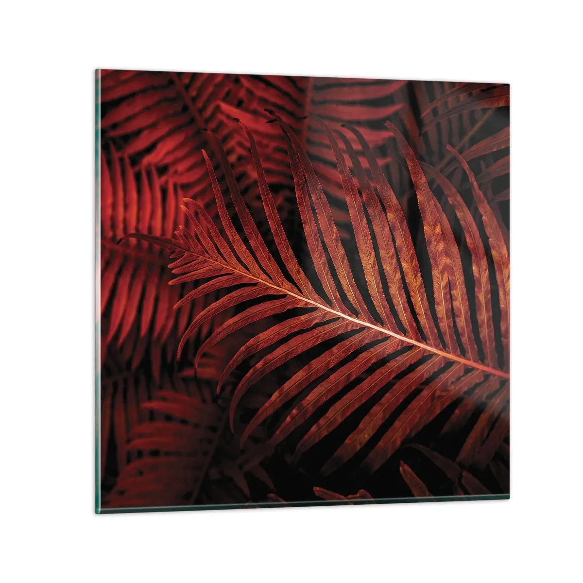 Impression sur verre - Image sur verre - Chaleur de la vie - 50x50 cm