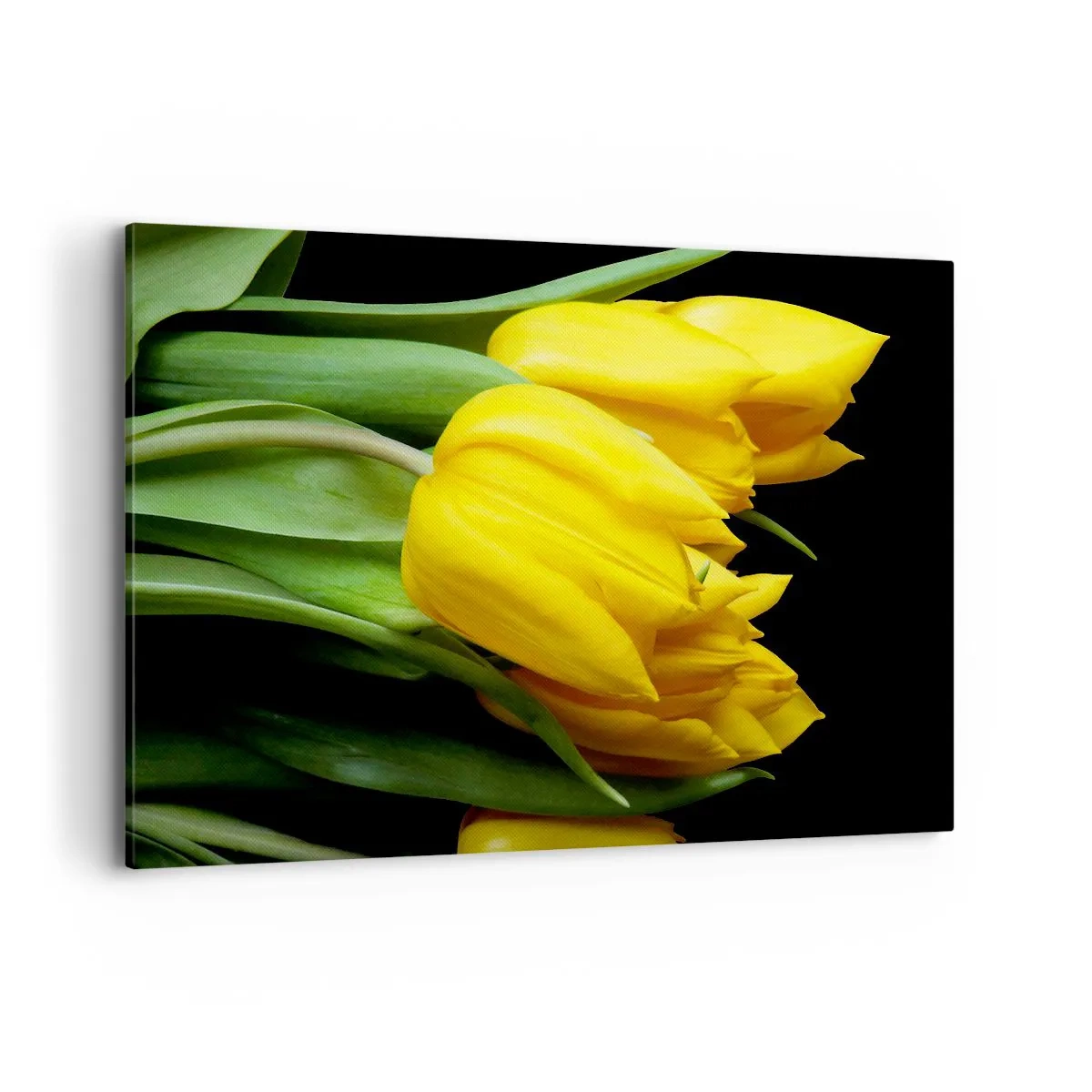 Impression sur toile - Image sur toile - Un bouquet de tulipes jaunes sur fond noir - 120x80cm - Lever de soleil pur - Décoration murale moderne pour le salon et la chambre ARTTOR