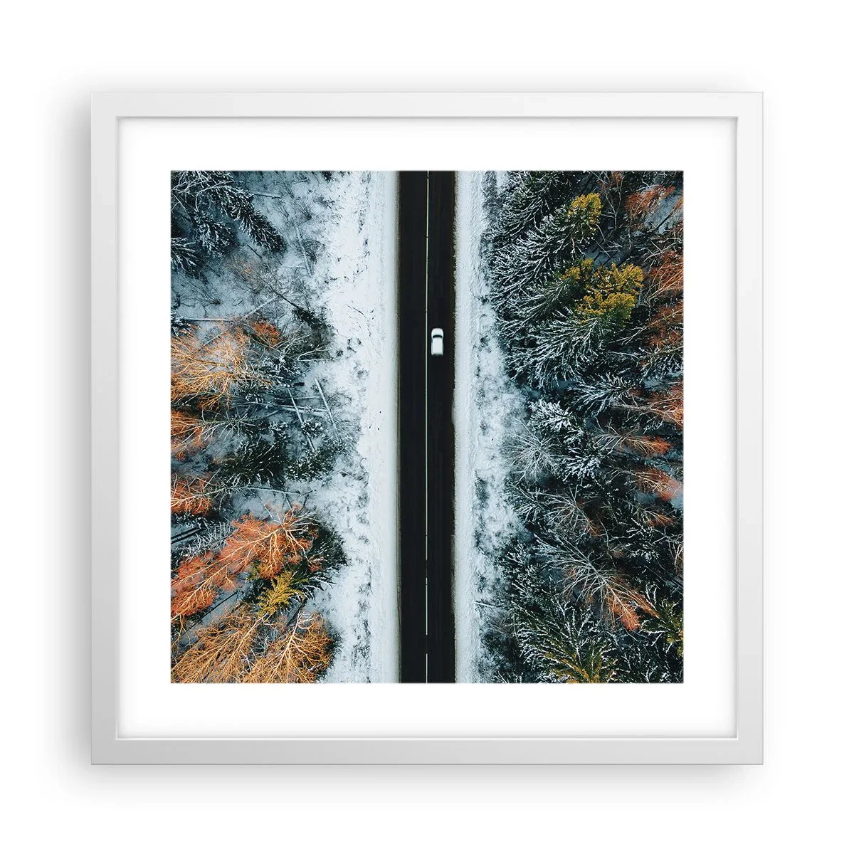 Affiche dans un cadre blanc - Poster - Couper à travers la forêt d'hiver - 40x40 cm