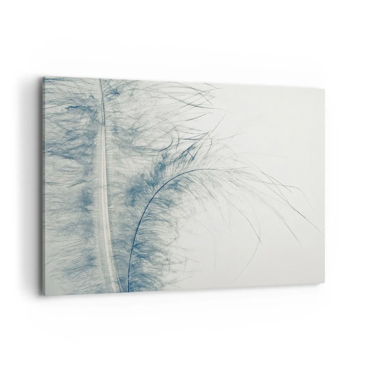 Impression sur toile - Image sur toile - Une plume délicate aux tons pastel sur fond clair - 100x70cm - Les sept natures - Décoration murale moderne pour le salon et la chambre ARTTOR