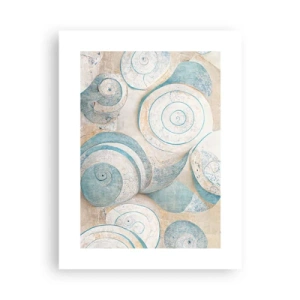 Affiche - Poster - Que cache la coque ? - 30x40 cm