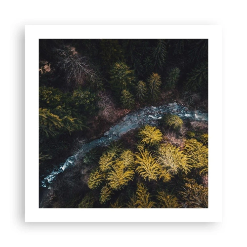 Affiche - Poster - De plus en plus vite - 50x50 cm