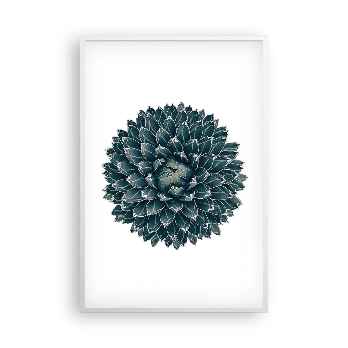 Affiche dans un cadre blanc - Poster - Étoile du désert - 61x91 cm