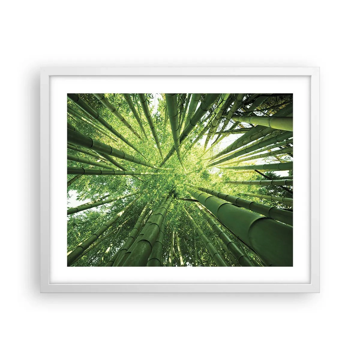 Affiche dans un cadre blanc - Poster - Dans une bambouseraie - 50x40 cm