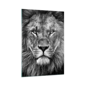 Impression sur verre - Image sur verre - Portrait d'un lion en noir et blanc avec une crinière majestueuse - 50x70cm - En vêtement de sacre - Décoration murale moderne pour le salon et la chambre ARTTOR