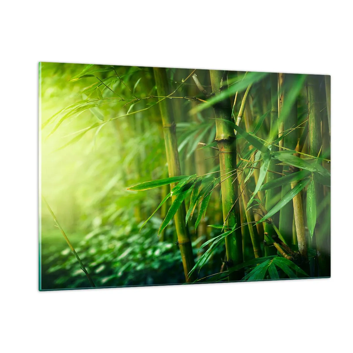 Impression sur verre - Image sur verre - Forêt de bambous verts au soleil - 120x80cm - Apprenez à connaître le vert lui-même - Décoration murale moderne pour le salon et la chambre ARTTOR