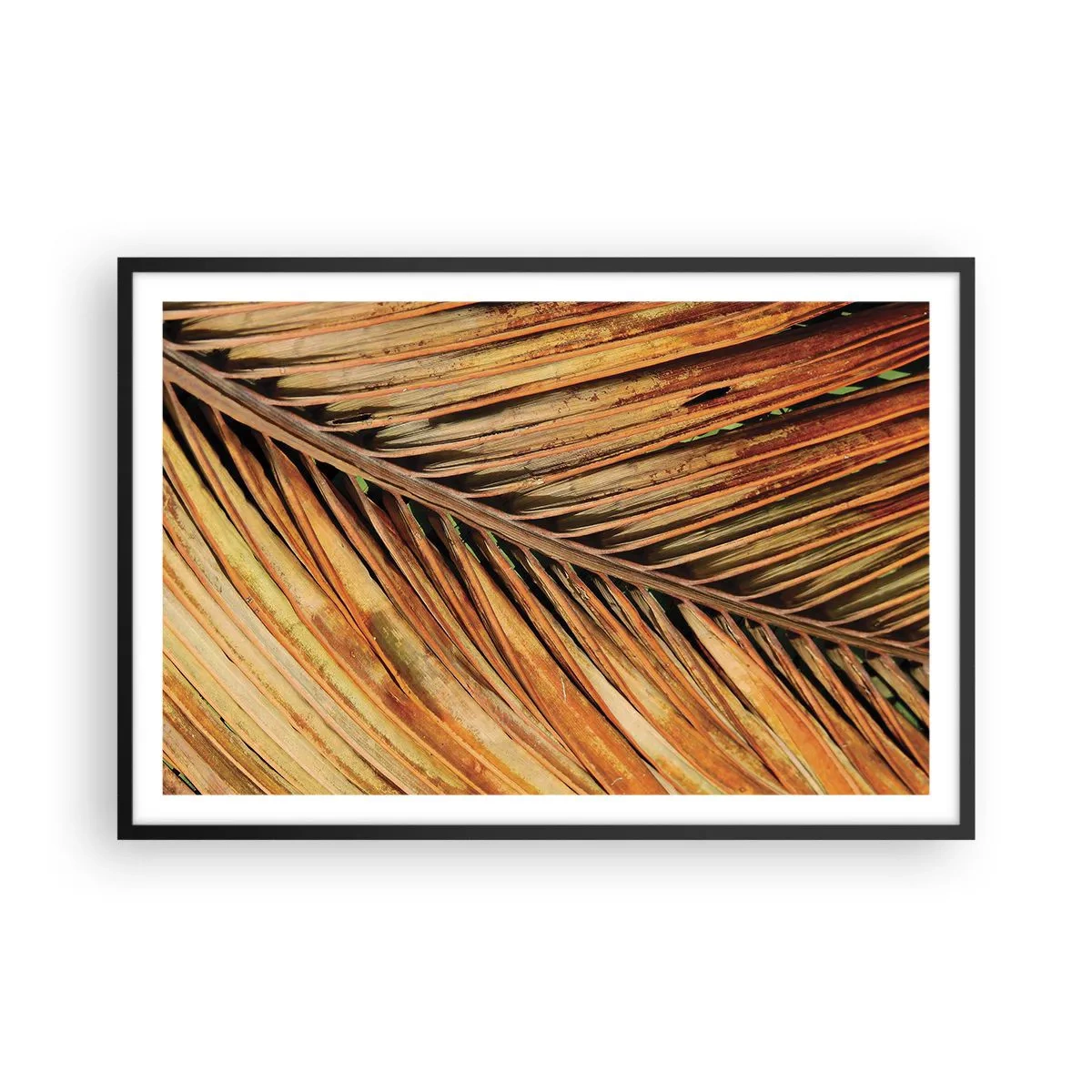 Affiche dans un cadre noir - Poster - Or de noix de coco - 91x61 cm