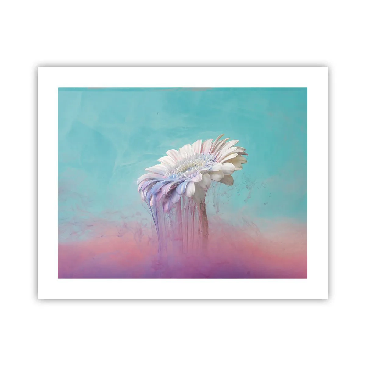 Affiche - Poster - Le monde souterrain des fleurs - 50x40 cm