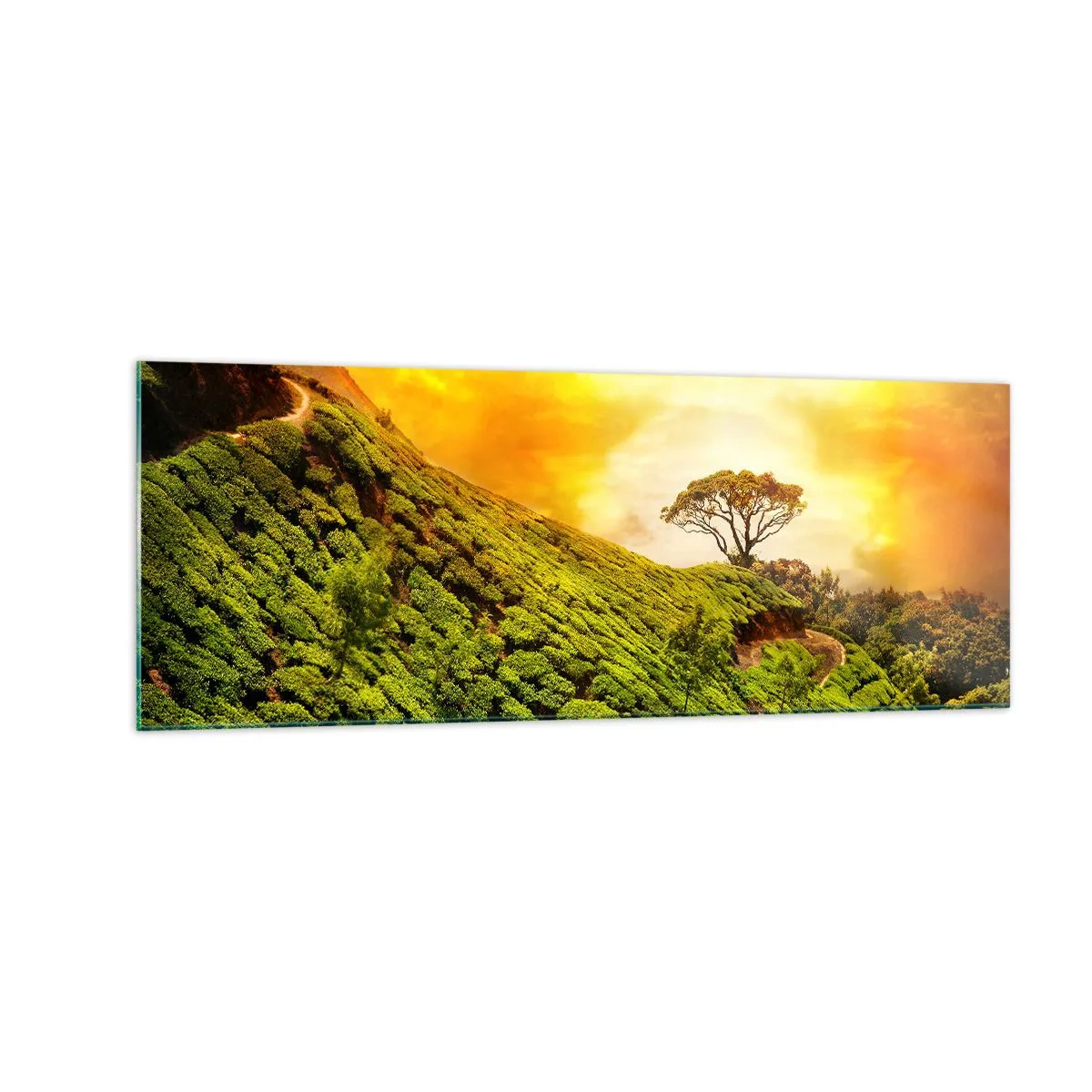 Impression sur verre - Image sur verre - Collines verdoyantes de plantations de thé au coucher du soleil - 140x50cm - Un chemin sinueux, une pente verte - Décoration murale moderne pour le salon et la chambre ARTTOR