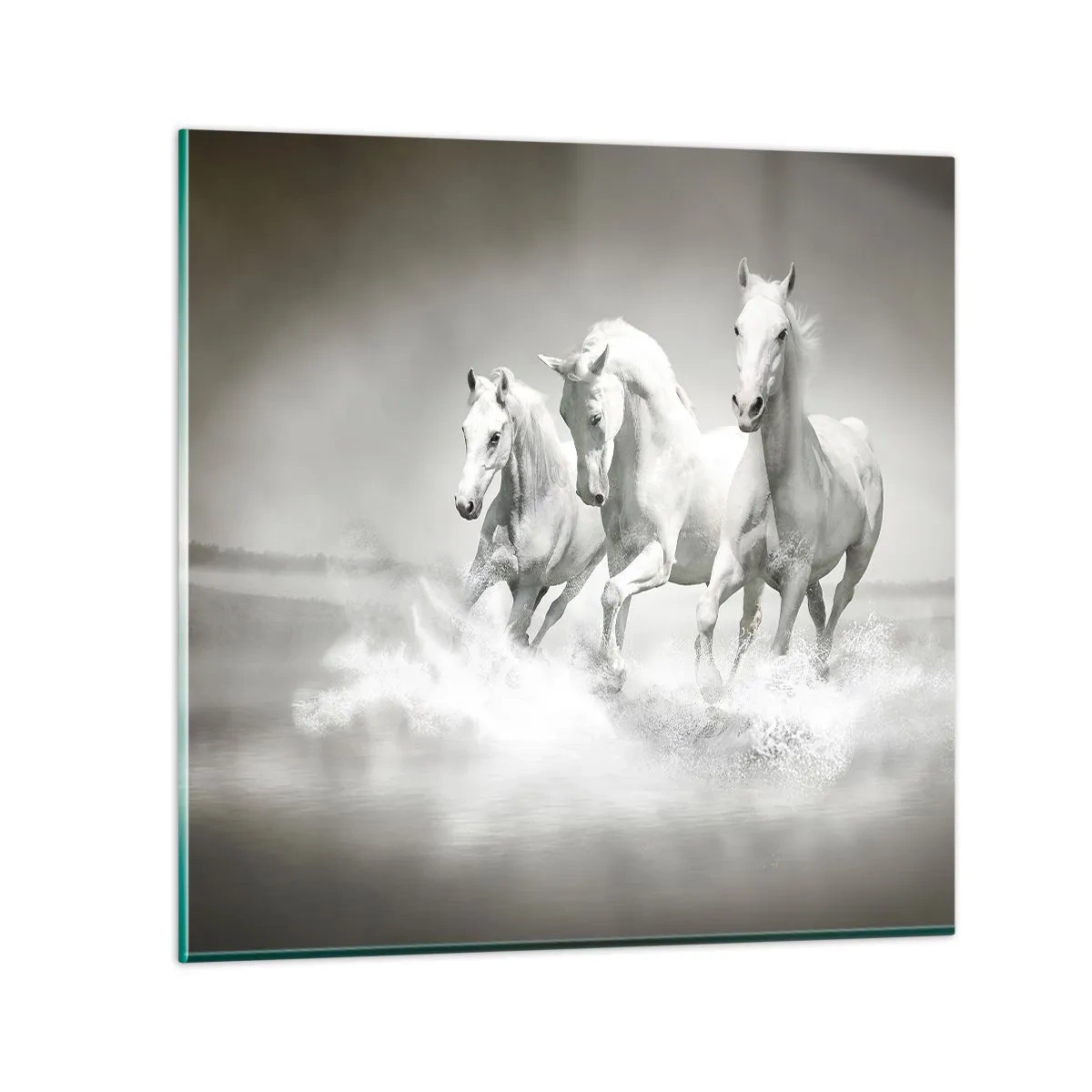 Impression sur verre - Image sur verre - La folie blanche - 60x60 cm