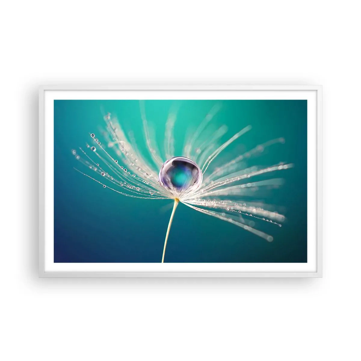 Affiche dans un cadre blanc - Poster - Moment mystique - 91x61 cm
