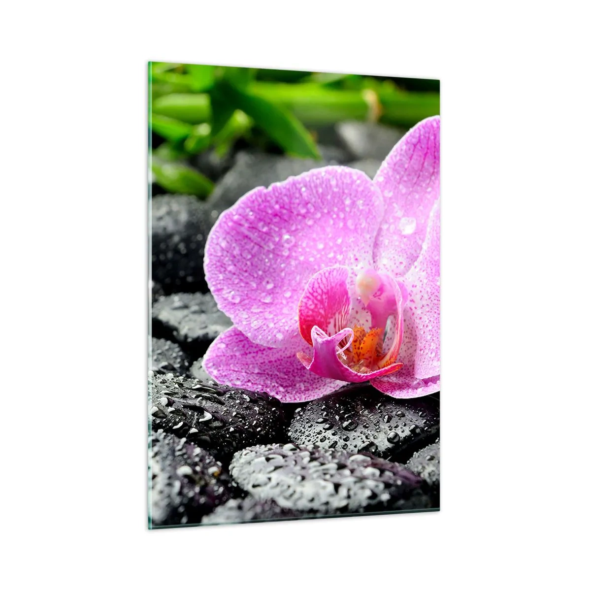 Impression sur verre - Image sur verre - Fleur d'orchidée rose sur des pierres noires humides - 50x70cm - Comme un coeur ouvert - Décoration murale moderne pour le salon et la chambre ARTTOR