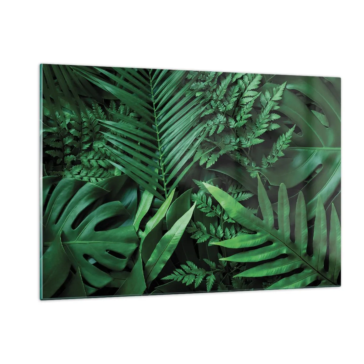 Impression sur verre - Image sur verre - Feuilles vertes denses de plantes tropicales dans la composition - 120x80cm - Emmitouflé de verdure - Décoration murale moderne pour le salon et la chambre ARTTOR