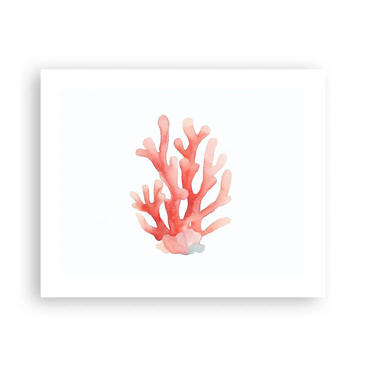 Affiche - Poster - Corail couleur corail - 50x40 cm