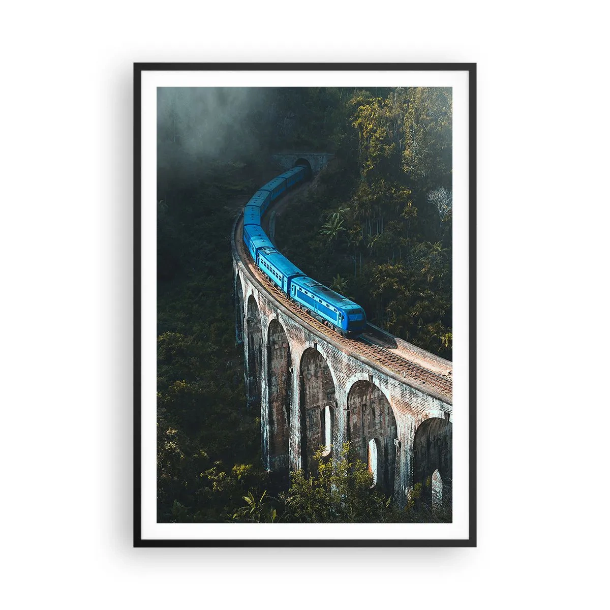 Affiche dans un cadre noir - Poster - Train nature - 70x100 cm