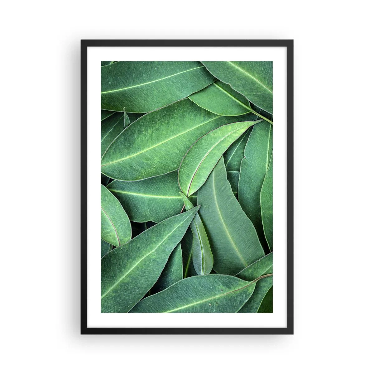 Affiche dans un cadre noir - Poster - Feuilles vertes disposées dans une composition dense - 50x70cm - Juteux et frais - Décoration murale moderne pour le salon et la chambre ARTTOR