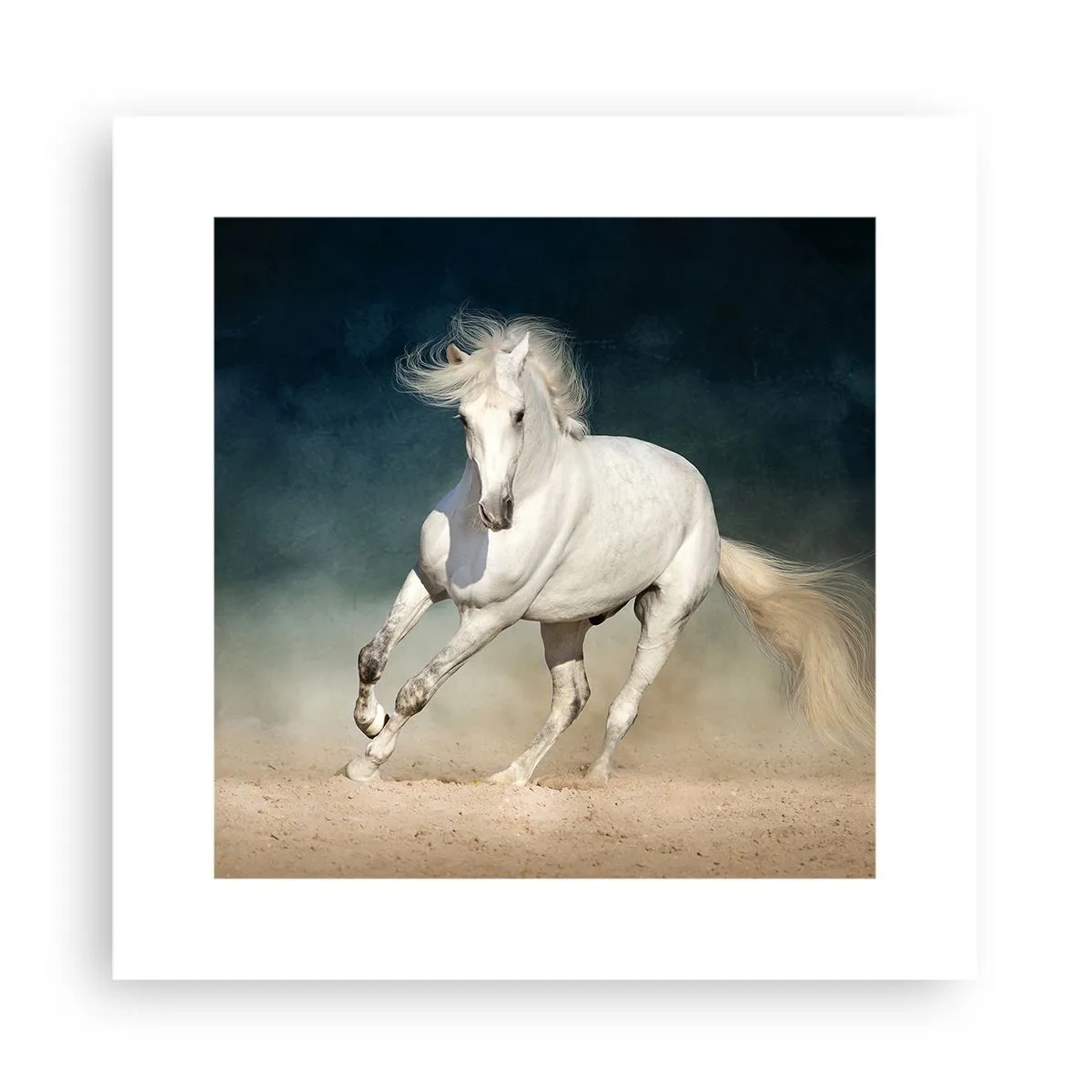 Affiche - Poster - La liberté à l'état pur - 30x30 cm