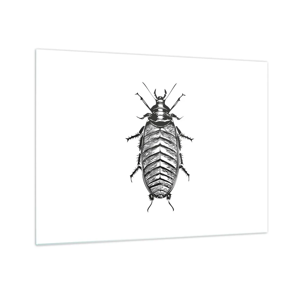 Impression sur verre - Image sur verre - Illustration en noir et blanc d'un insecte sur fond blanc - 70x50cm - Quel spécimen! - Décoration murale moderne pour le salon et la chambre ARTTOR